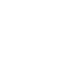 Scout Architecture + Design